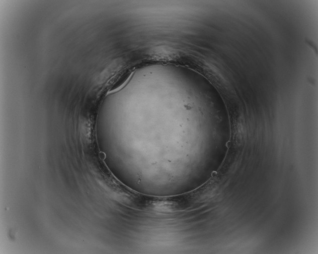 X0000103460268200809121610