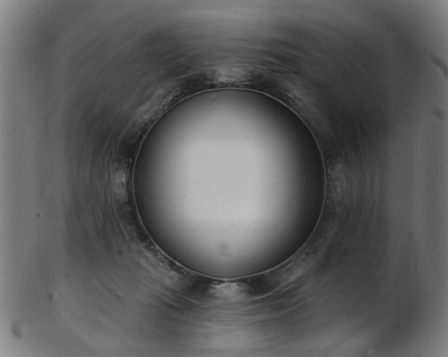 X0000103460269200809121610