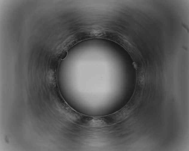 X0000103460270200809121610