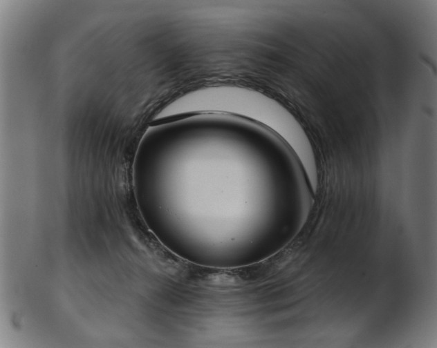 X0000103460272200809121610