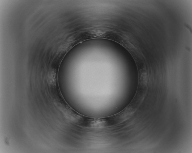 X0000103460274200809121610