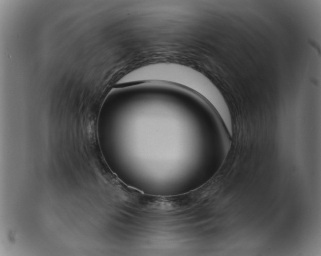 X0000103460276200809121610