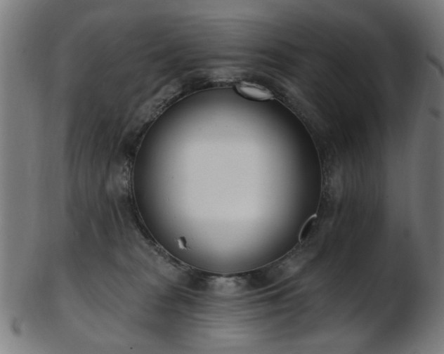 X0000103460277200809121610