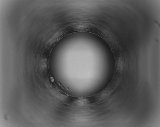 X0000103460278200809121610