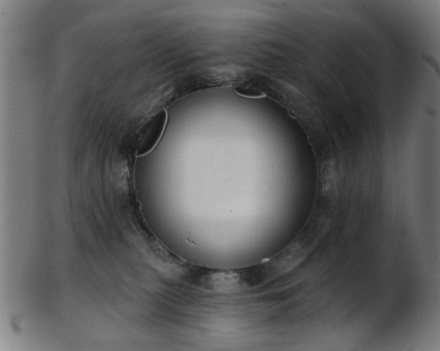 X0000103460279200809121610