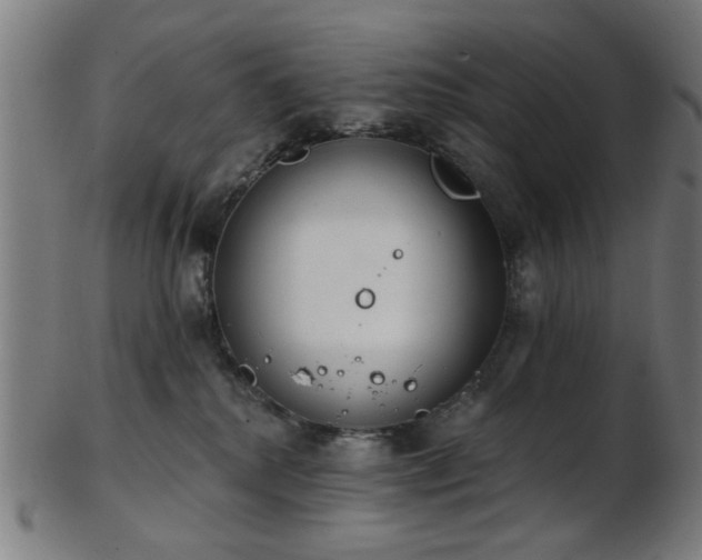 X0000103460280200809121610