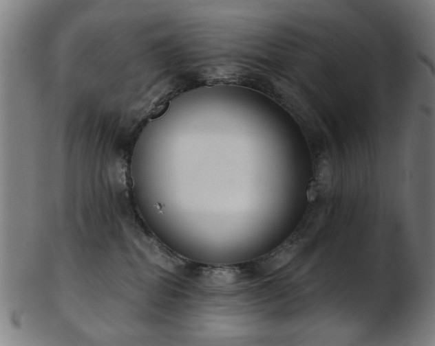 X0000103460282200809121610