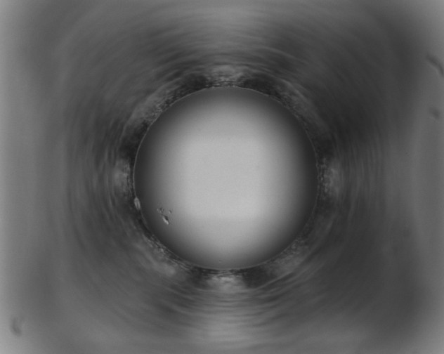 X0000103460283200809121610
