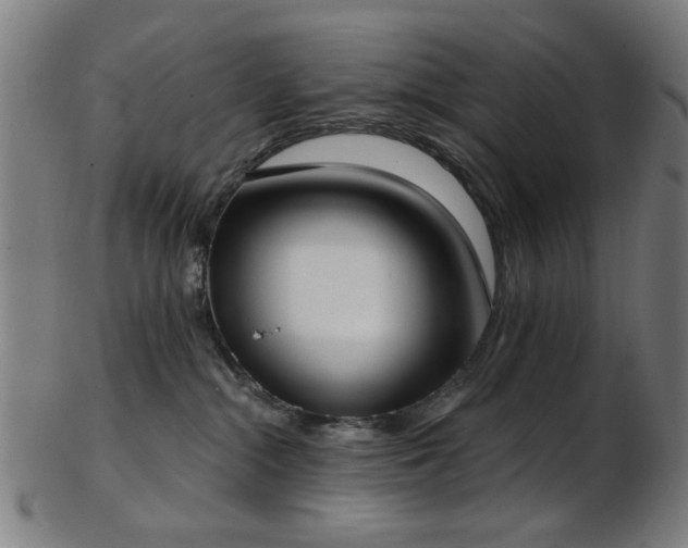 X0000103460284200809121610