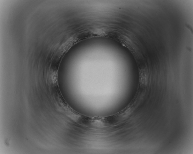 X0000103460285200809121610
