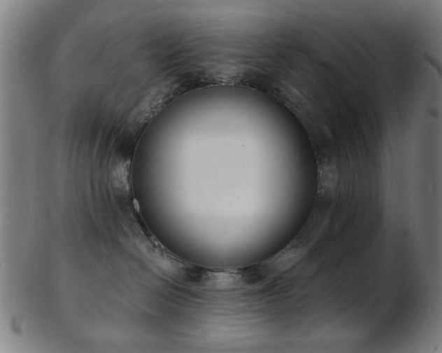 X0000103460286200809121610