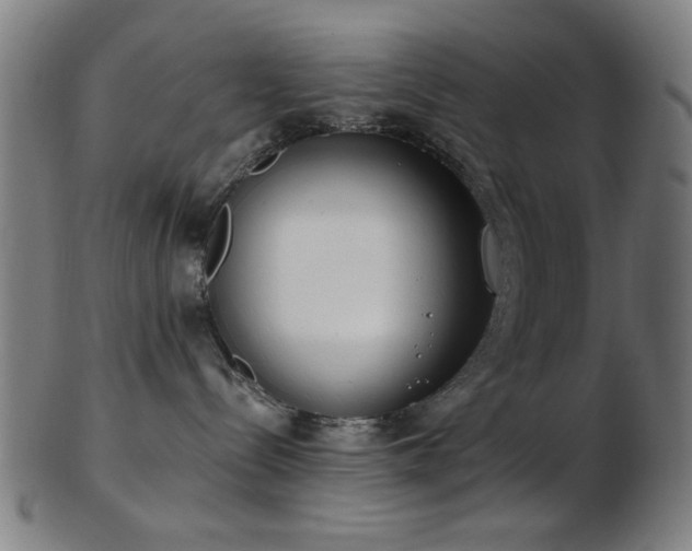 X0000103460288200809121610