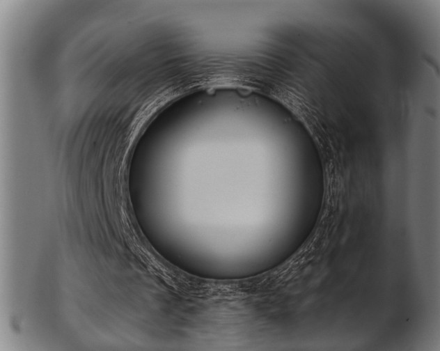 X0000103460289200809121610