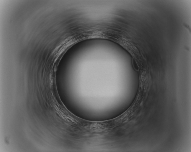 X0000103460290200809121610