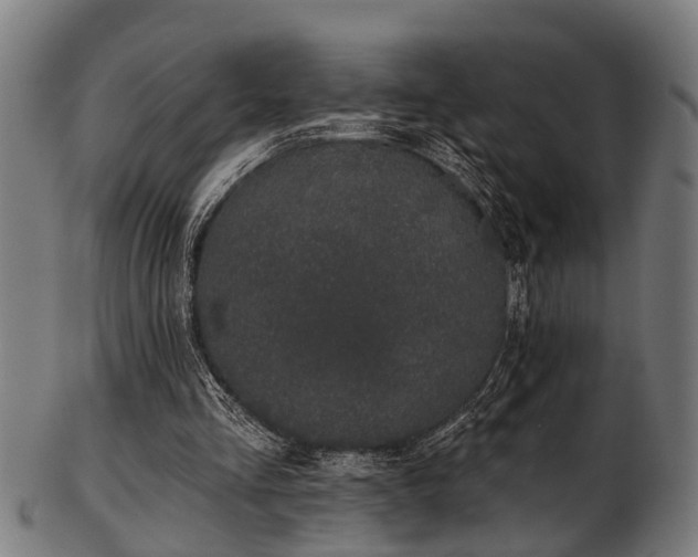 X0000103460293200809121610
