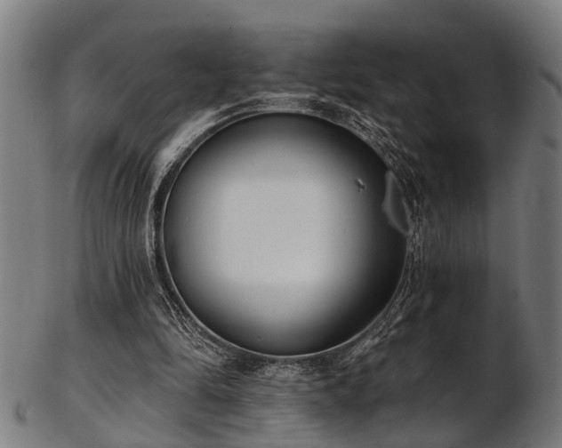 X0000103460294200809121610