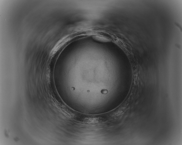 X0000103460295200809121610