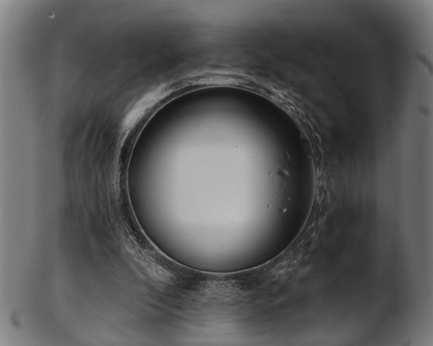 X0000103460296200809121610