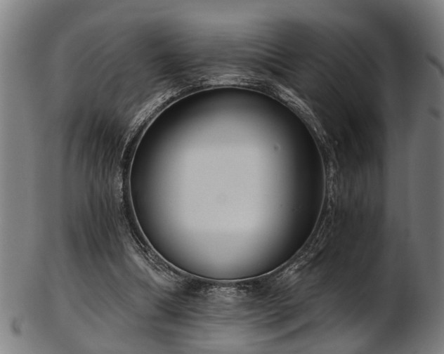 X0000103460298200809121610