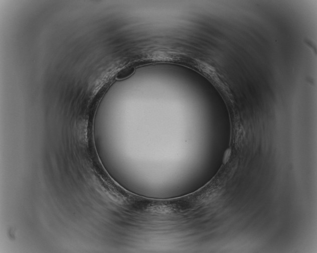 X0000103460299200809121610