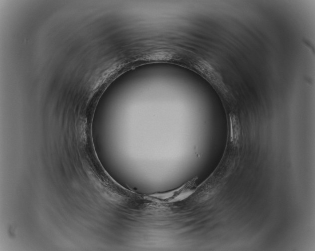 X0000103460300200809121610