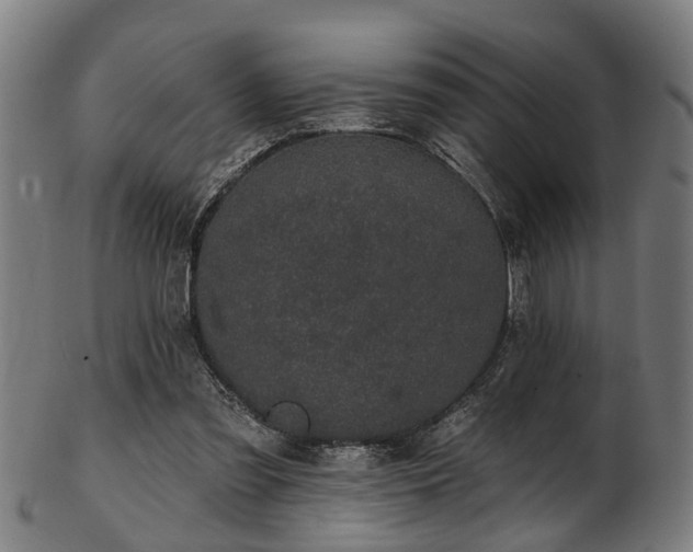 X0000103460301200809121610