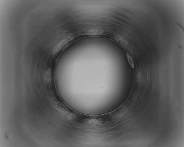 X0000103460303200809121610