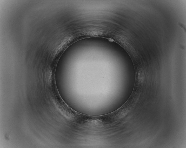 X0000103460304200809121610
