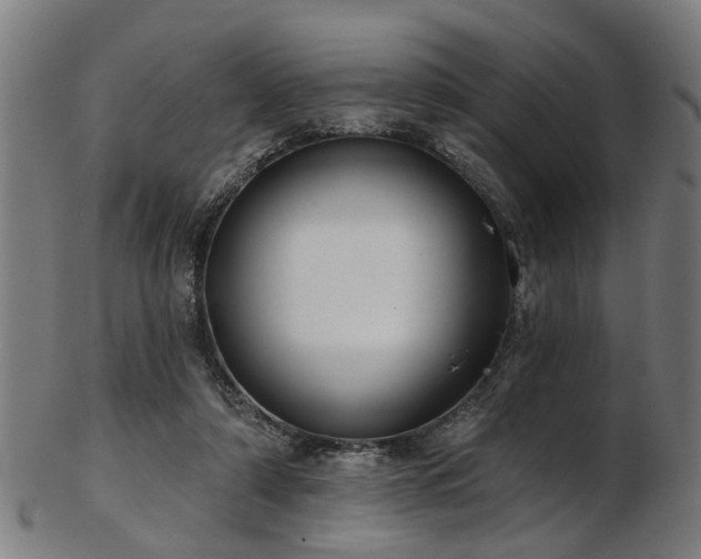 X0000103460306200809121610