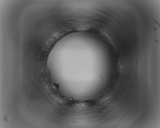 X0000103460307200809121610