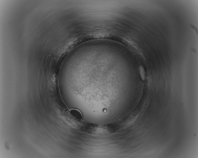 X0000103460308200809121610