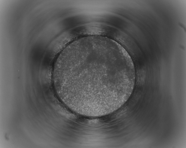 X0000103460309200809121610