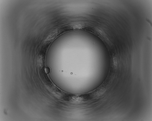 X0000103460311200809121609
