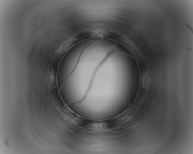 X0000103460314200809121609