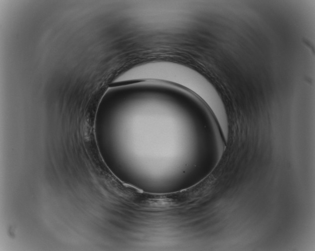 X0000103460316200809121609