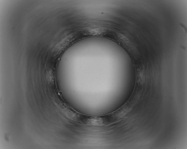 X0000103460317200809121609