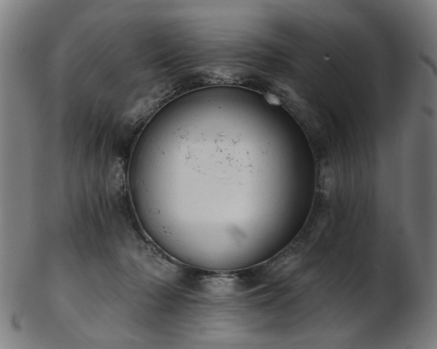 X0000103460318200809121609
