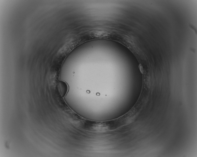 X0000103460319200809121609