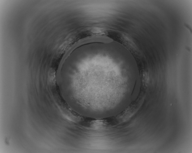 X0000103460320200809121609