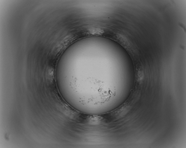 X0000103460321200809121609