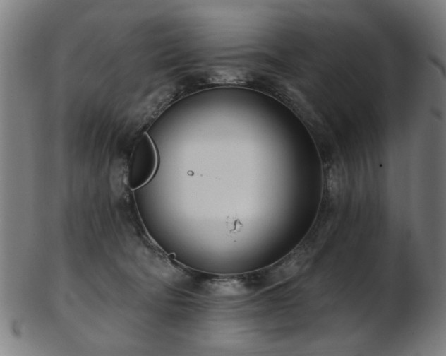 X0000103460322200809121609