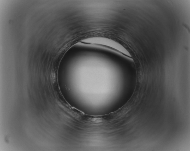 X0000103460324200809121609