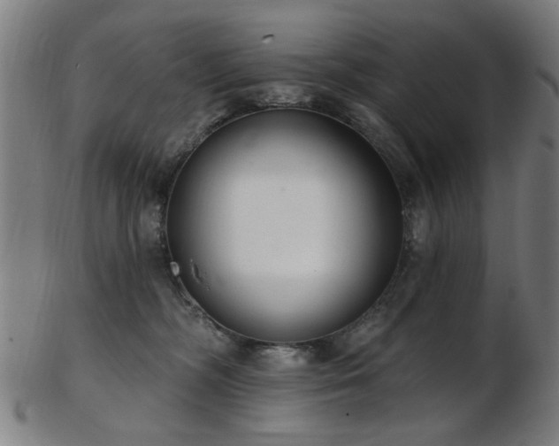 X0000103460326200809121609