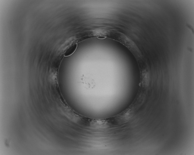 X0000103460329200809121609