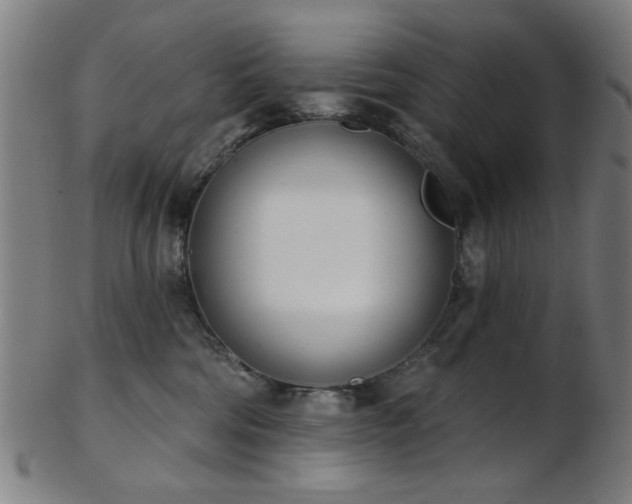 X0000103460330200809121609