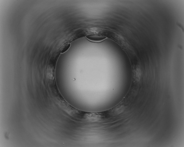 X0000103460331200809121609