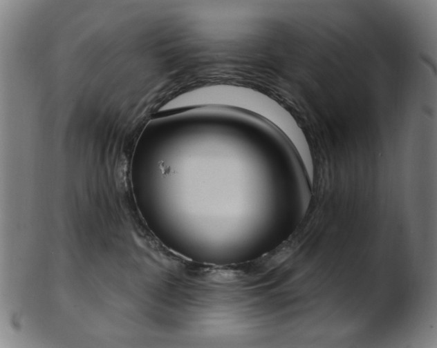 X0000103460332200809121609