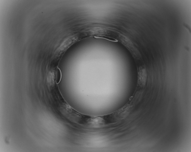 X0000103460333200809121609