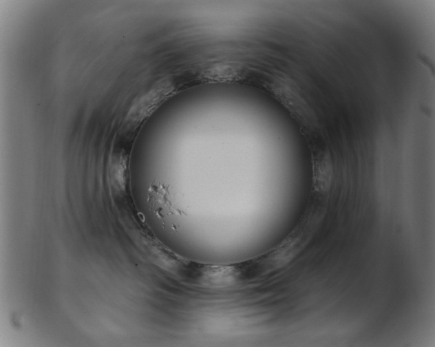 X0000103460334200809121609