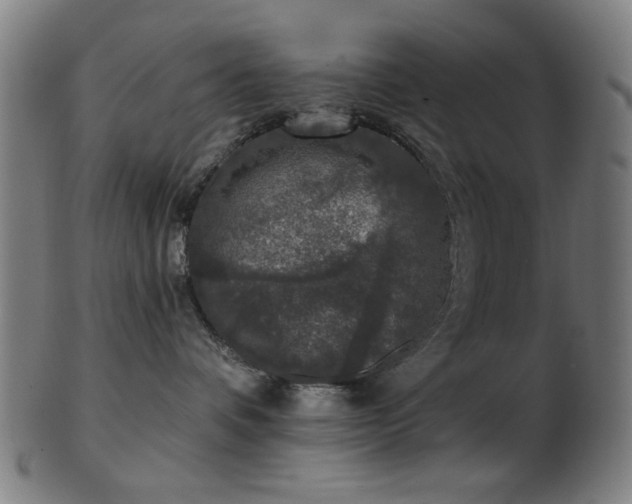X0000103460336200809121609